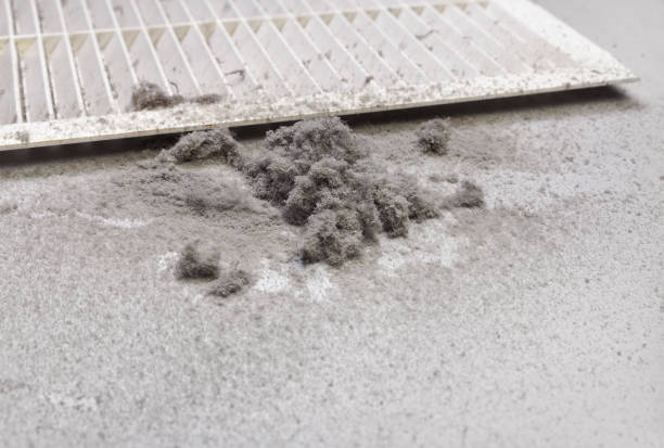 Best Affordable HVAC Duct Cleaning  in Talahi Island, GA